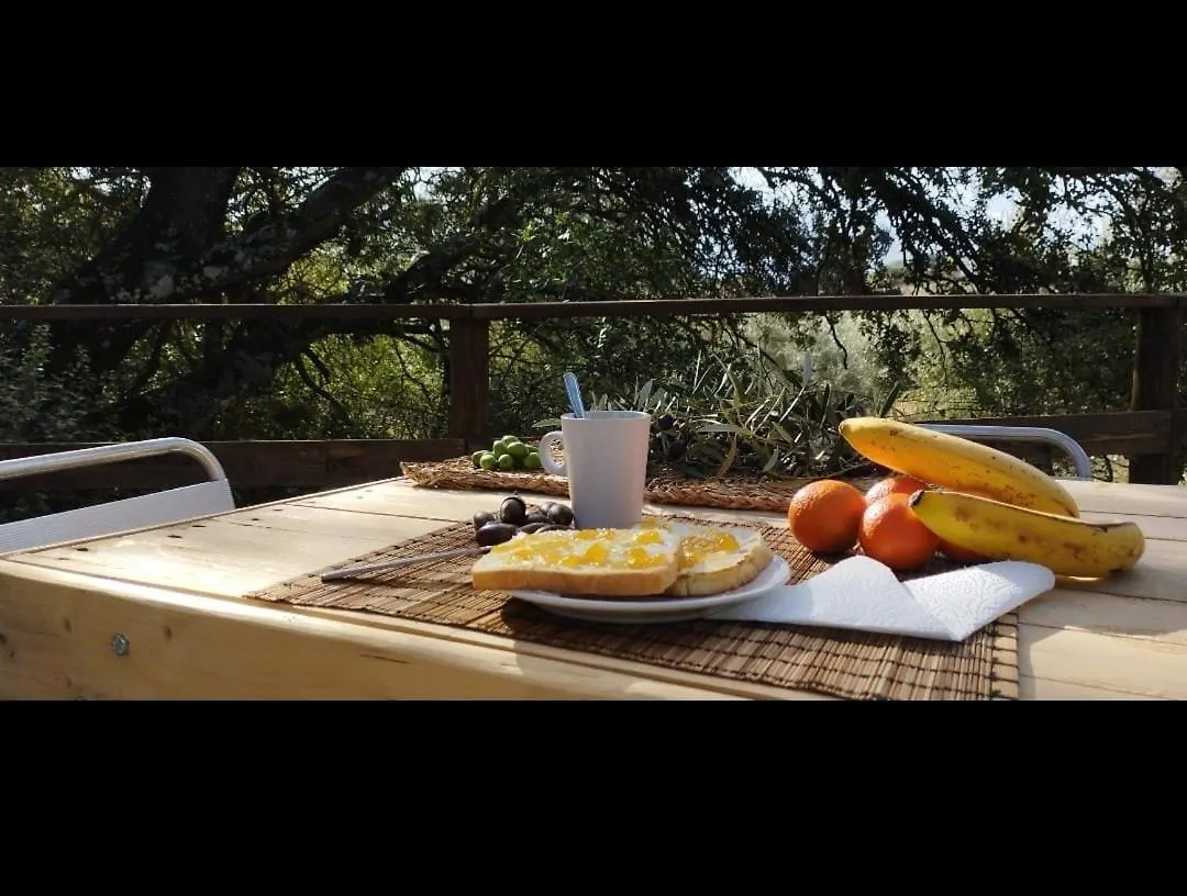 Роскошный шатер Cabana Del Arbol Lavagarural Villanueva del Rosario