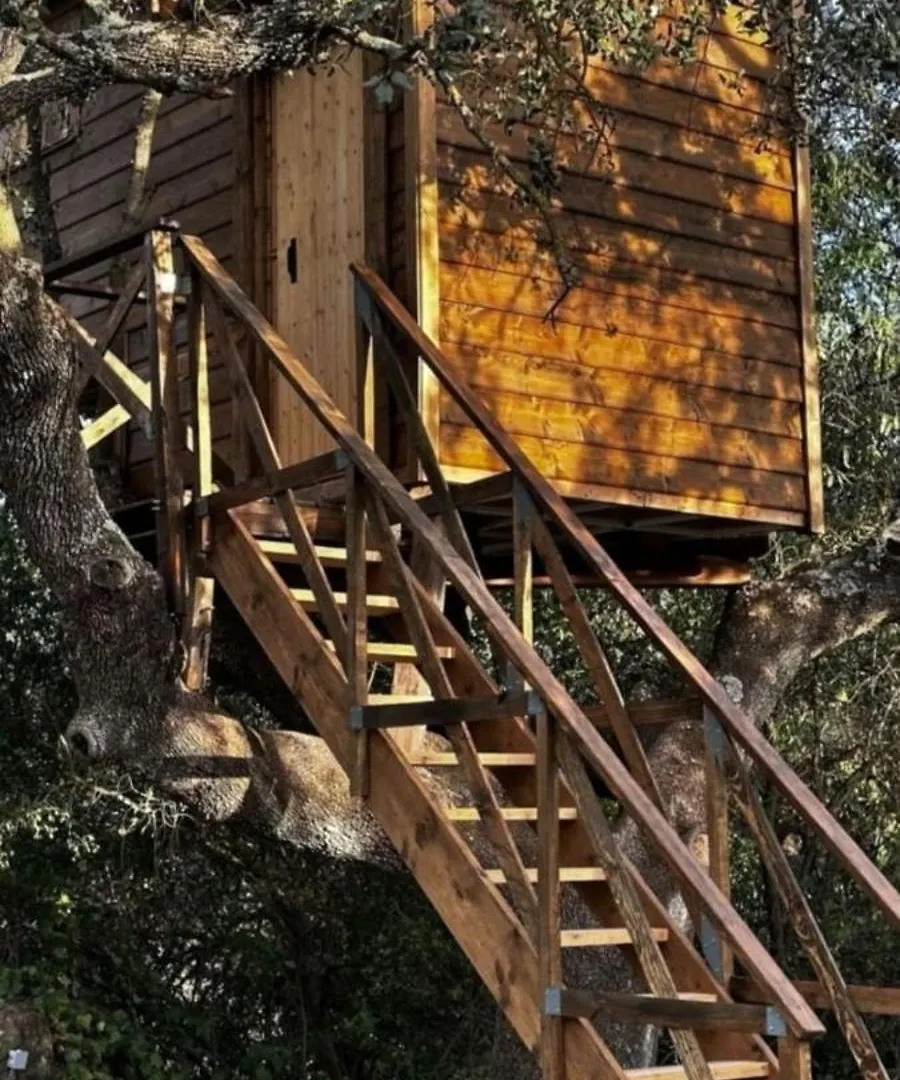 Роскошный шатер Cabana Del Arbol Lavagarural Villanueva del Rosario