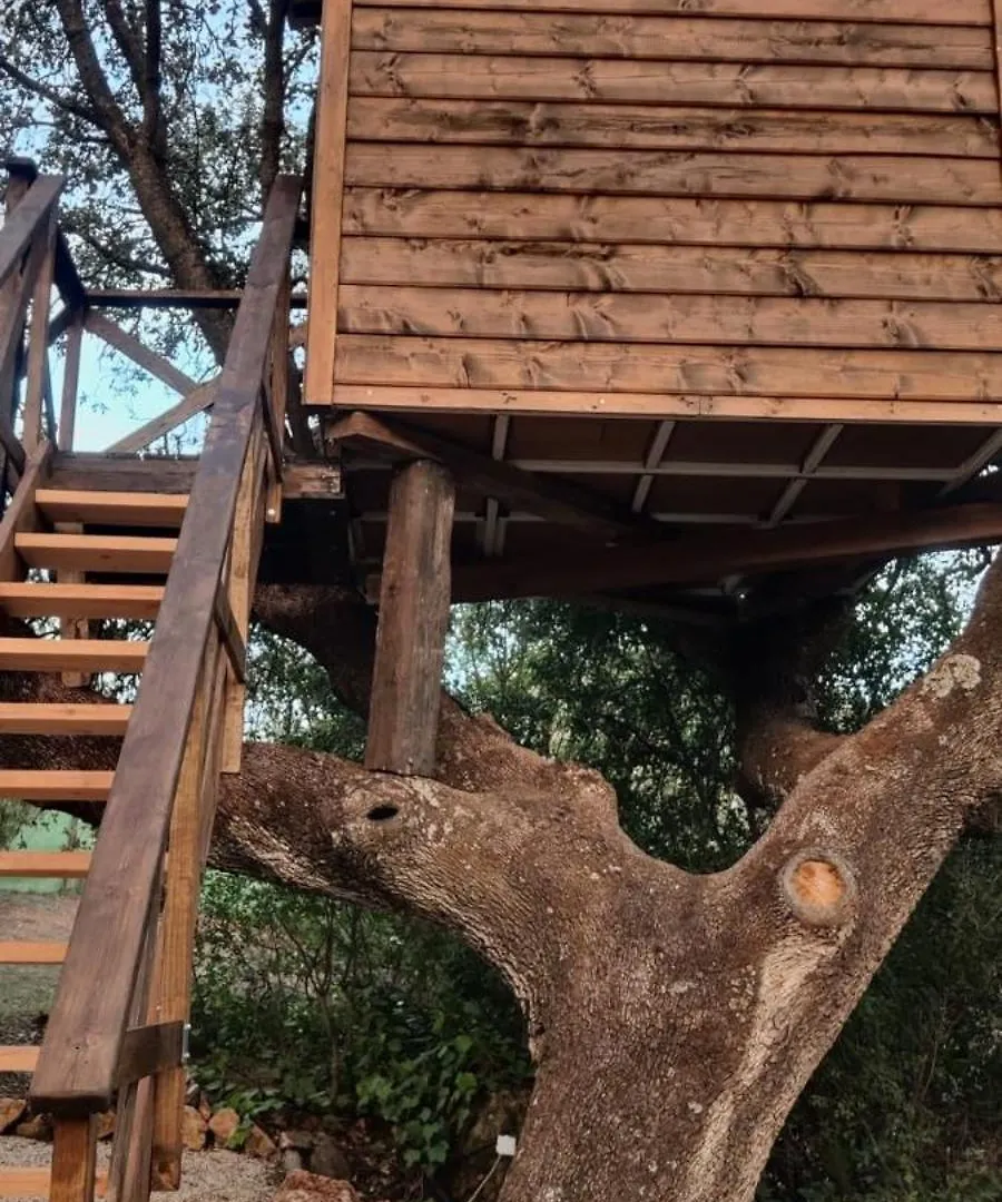 Cabana Del Arbol Lavagarural Villanueva del Rosario Роскошный шатер